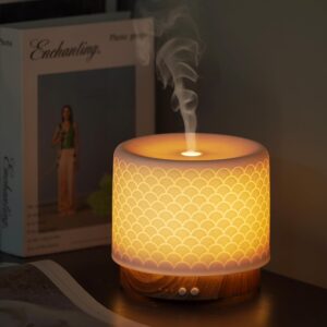 Ultrasonic 280ml Essential Oil Diffuser with Cool Mist Humidifier