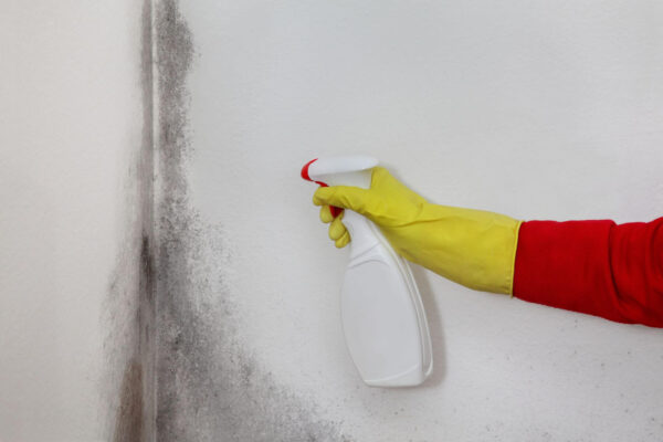 Goodbye Mold and Mildew Spray Elixir - Image 4