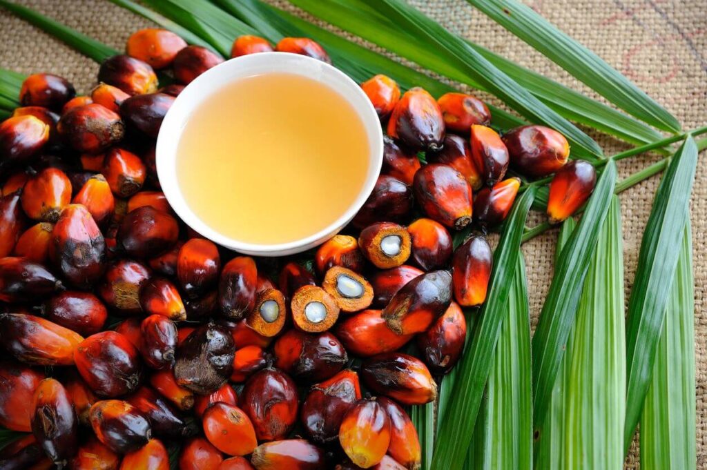 Unveiling the Wonders of Botanical Oils Part 1: Batana Oil