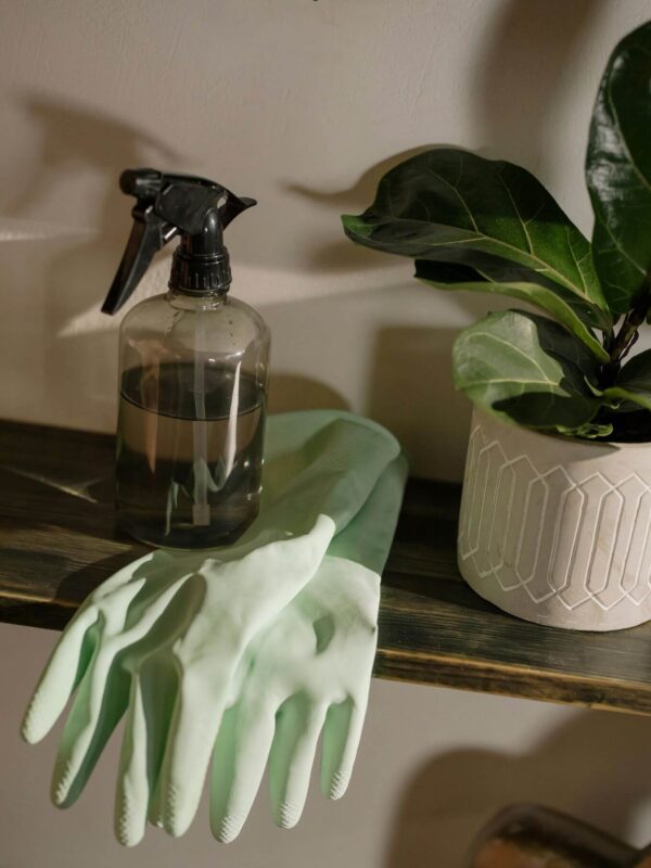 Goodbye Mold and Mildew Spray Elixir - Image 2
