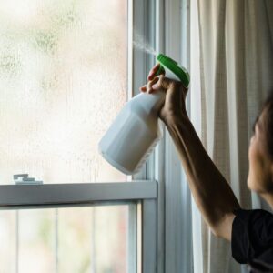 Goodbye Mold and Mildew Spray Elixir