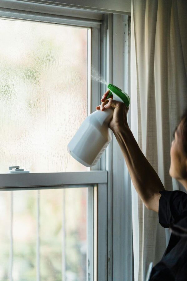 Goodbye Mold and Mildew Spray Elixir